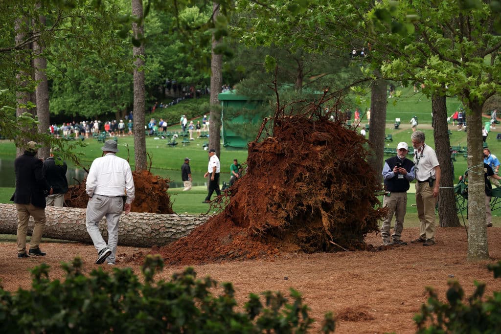 Cae árbol en plena actividad del Masters de Augusta de golf