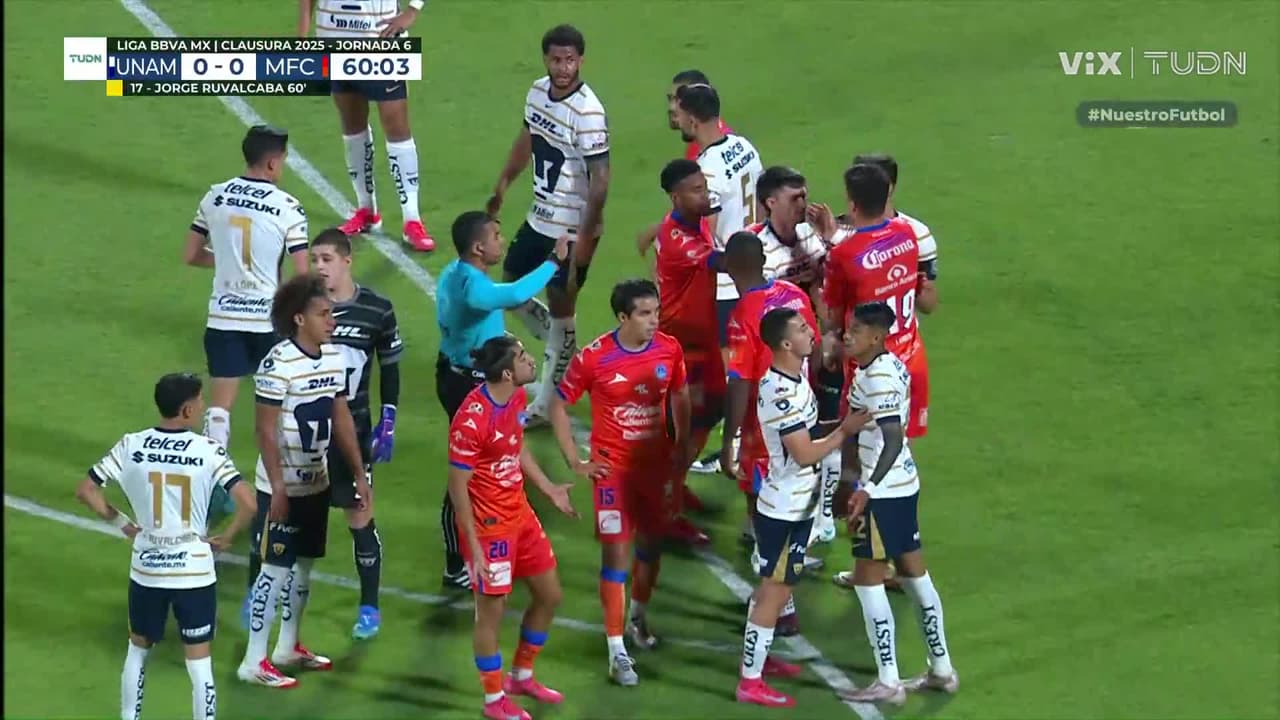 ¡Se calientan los ánimos! Pleito entre felinos y cañoneros