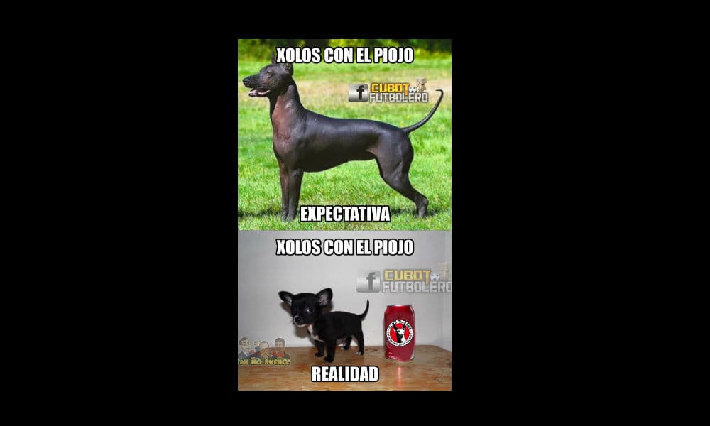Memes jornada 3 Clausura 2016