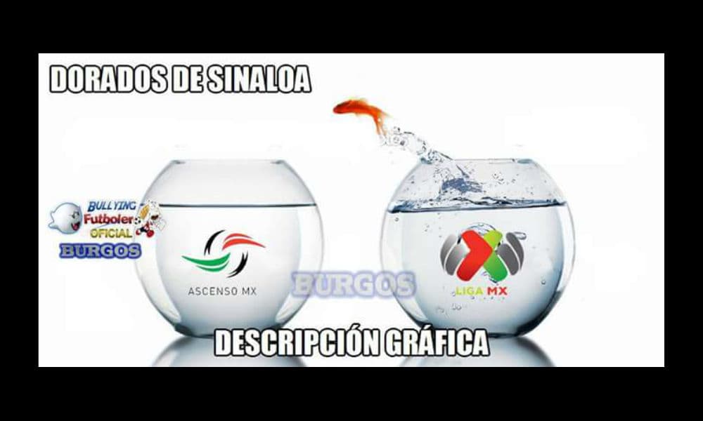 Memes jornada 3 Clausura 2016