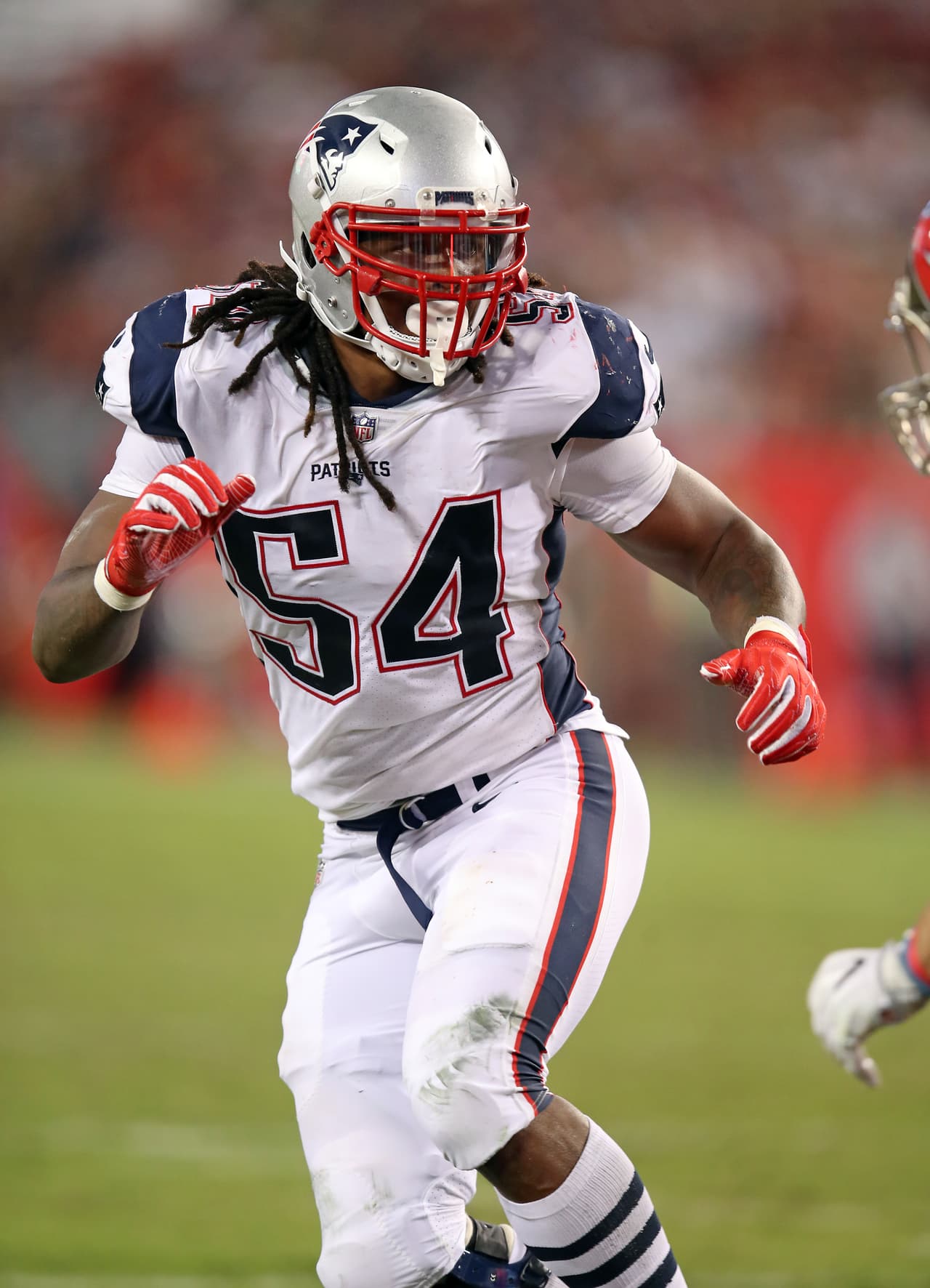 New England Patriots Dont'a Hightower (54) during the Tampa Bay Buccaneers during the an NFL football game Thursday, Oct. 5, 2017, in Tampa, Fla.. (Tom DiPace via AP)