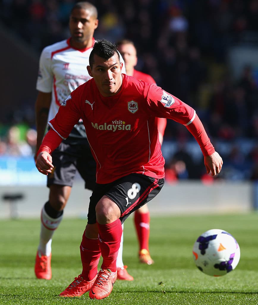 Tras dos años en Sevilla, recicbieron una oferta del recién acendido a la Premier League Cardiff City por 13 millpones de euros que no pudieron desaprovechar por lo que Medel llegó para reforzarlos durante una temporada.