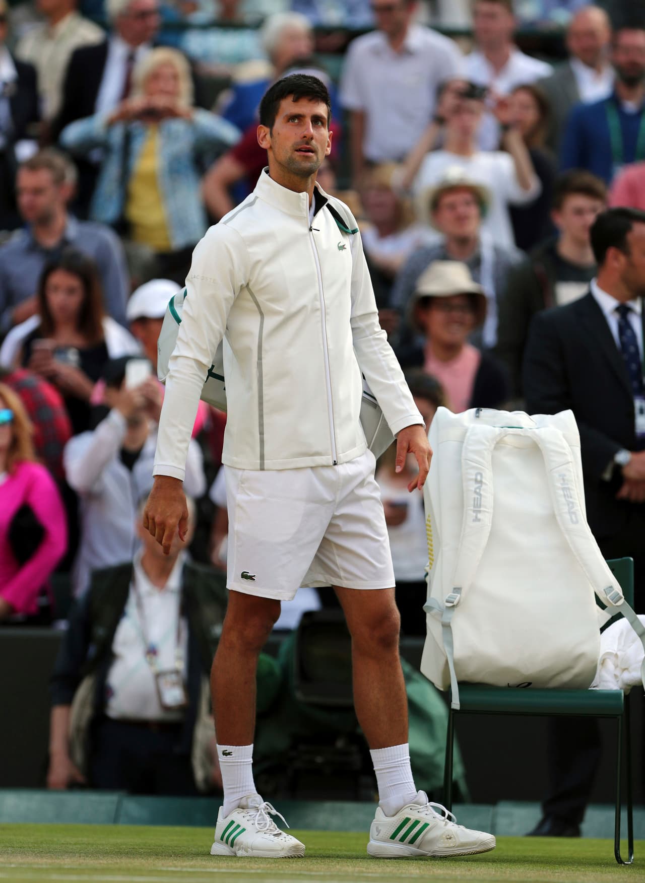 El abandono del serbio le dejó el camino abierto a Berdych hacia la semifinal.