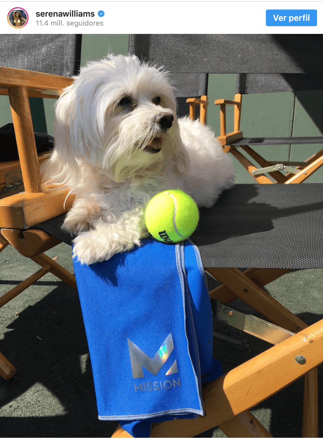 Serena Williams | Tenista