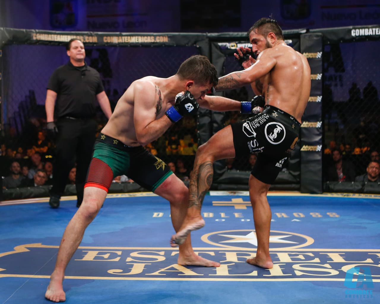 La fiesta del Combate Américas en el Gimnasio Nuevo León de Monterrey tuvo como protagonistas a la intensidad de las artes marciales mixtas y al luchador Alberto del Río.