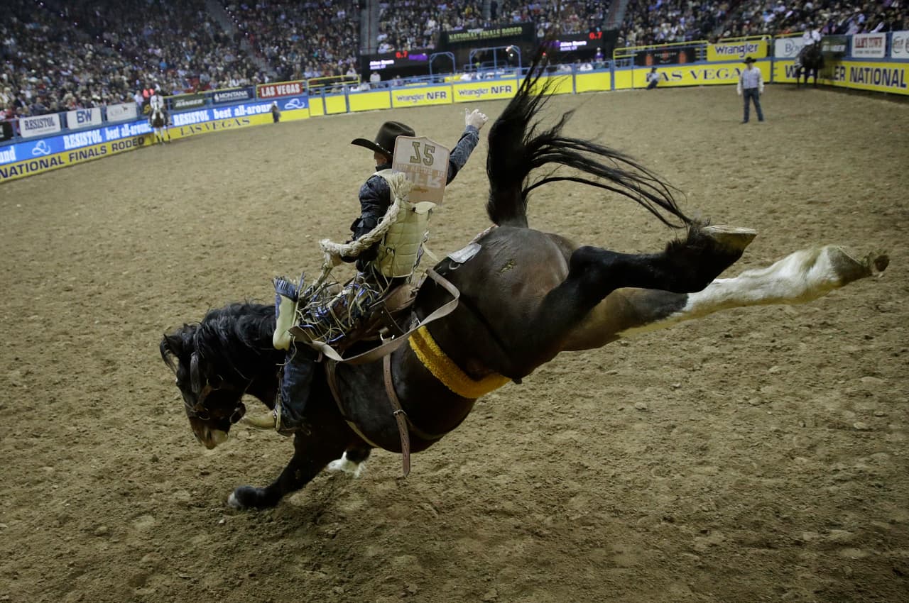 A pesar de los riesgos que tiene la práctica del rodeo, es un espectáculo sano que va dirigido a toda la familia.