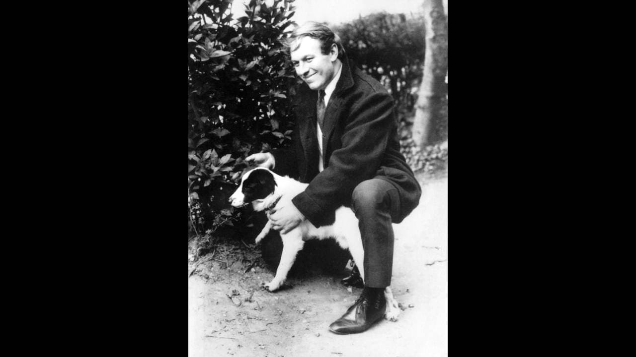 Siete días después, David Corbett y su mascota, Pickles, encontraron la copa mientras daban un paseo al sur de Londres. El olfato de Pickles los catapultó a la fama mundial. Lo nombraron ‘El perro del año’, protagonizó películas, recibió patrocinio de alimento de por vida y David recibió una recompensa de aproximadamente 6mil euros.