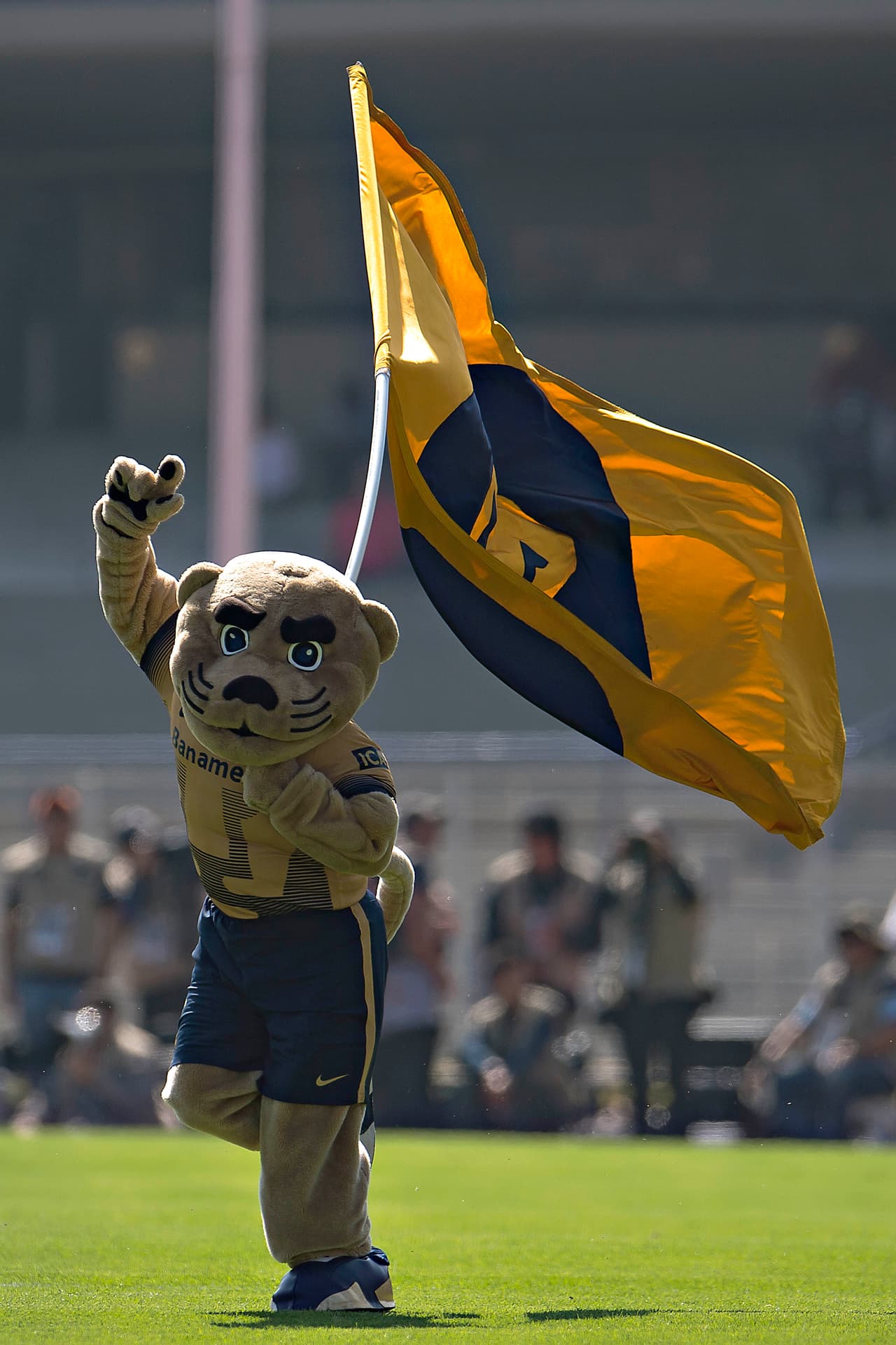 Colorido de afición en la vuelta de cuartos