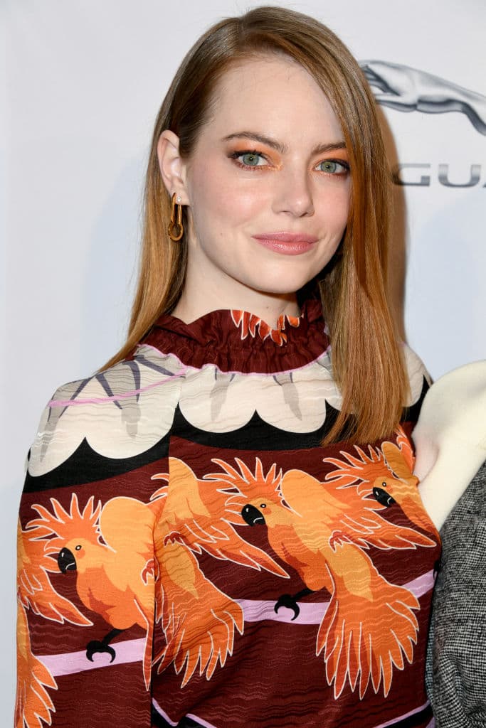 Ema Stone empezó con su depresión luego de sufrir un ataque de pánico en casa de un amigo. Esta enfermedad mental provocó que Emma cayera en una depresión.