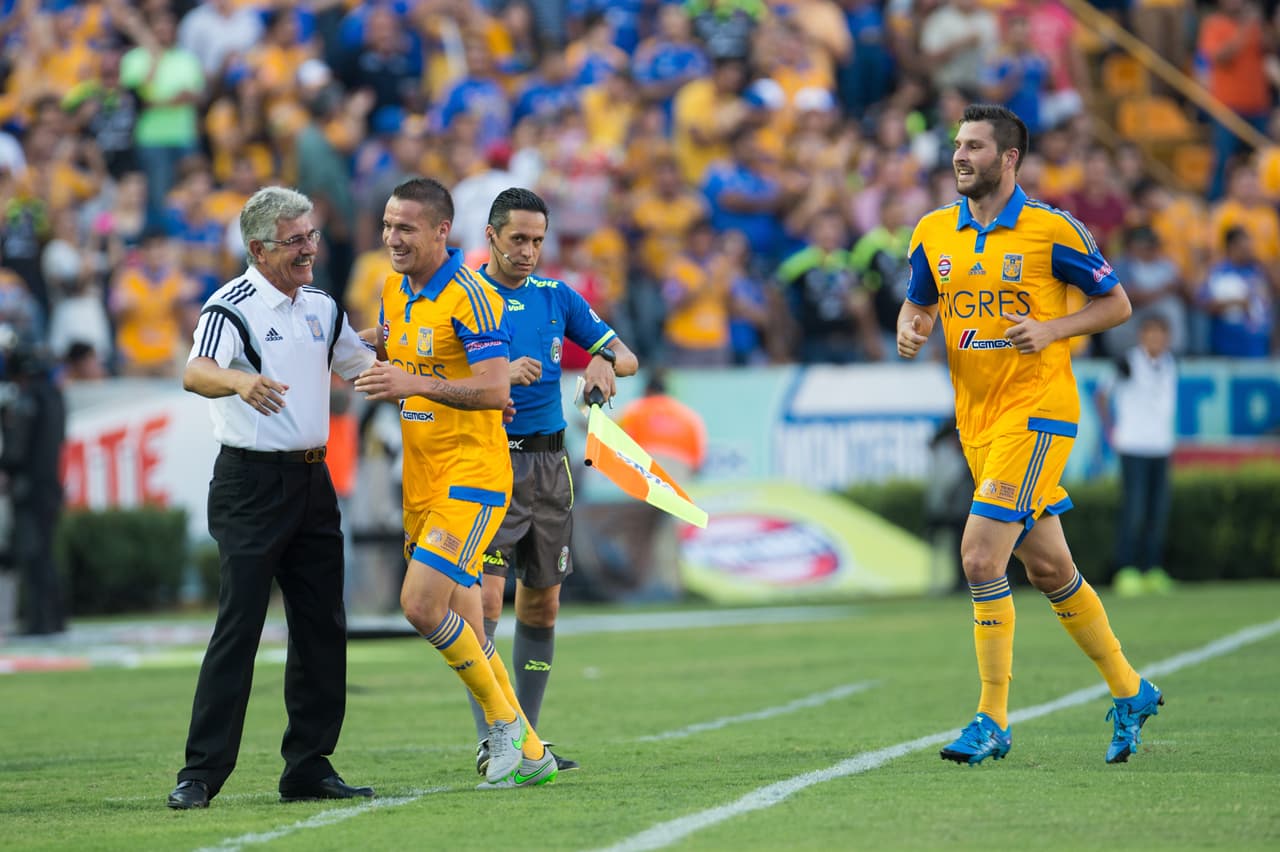 Tigres.