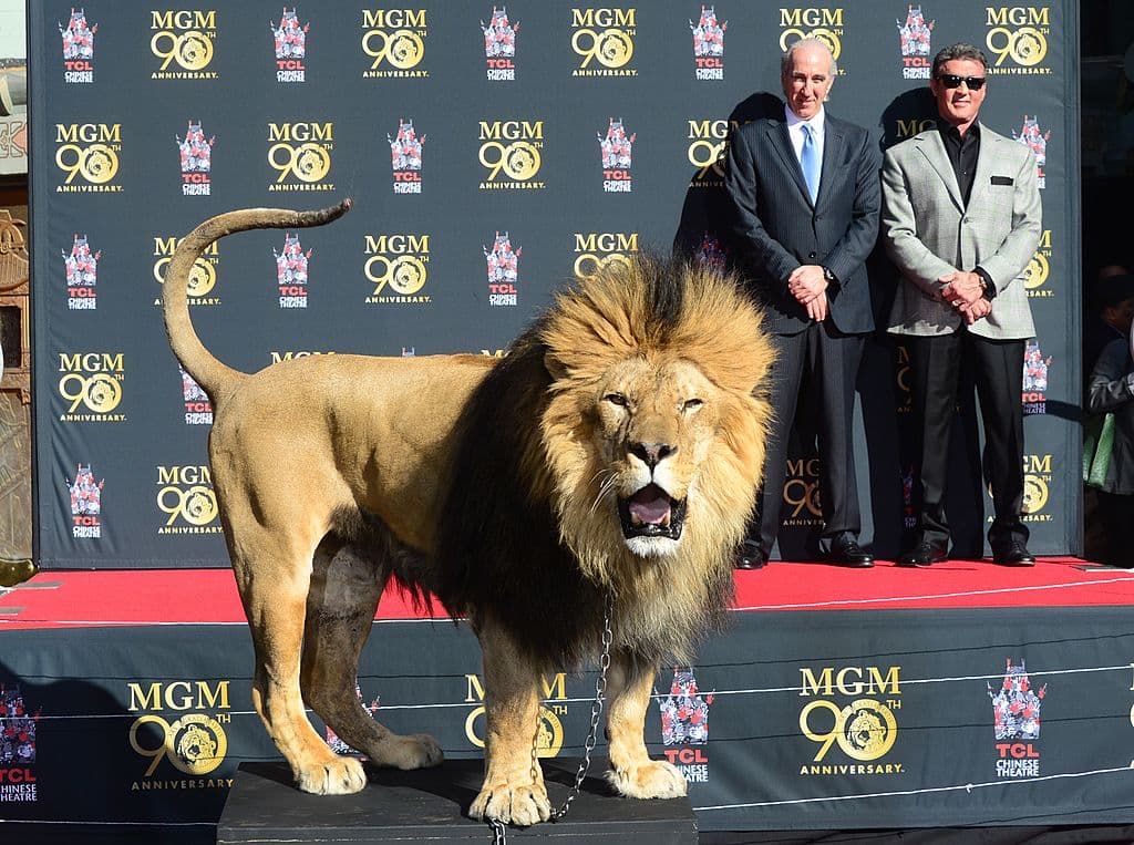 El estudio que alguna vez fue el hogar de “más estrellas que el cielo” vendió su vasto lote de producción y su biblioteca de películas anteriores a 1986 hace décadas.