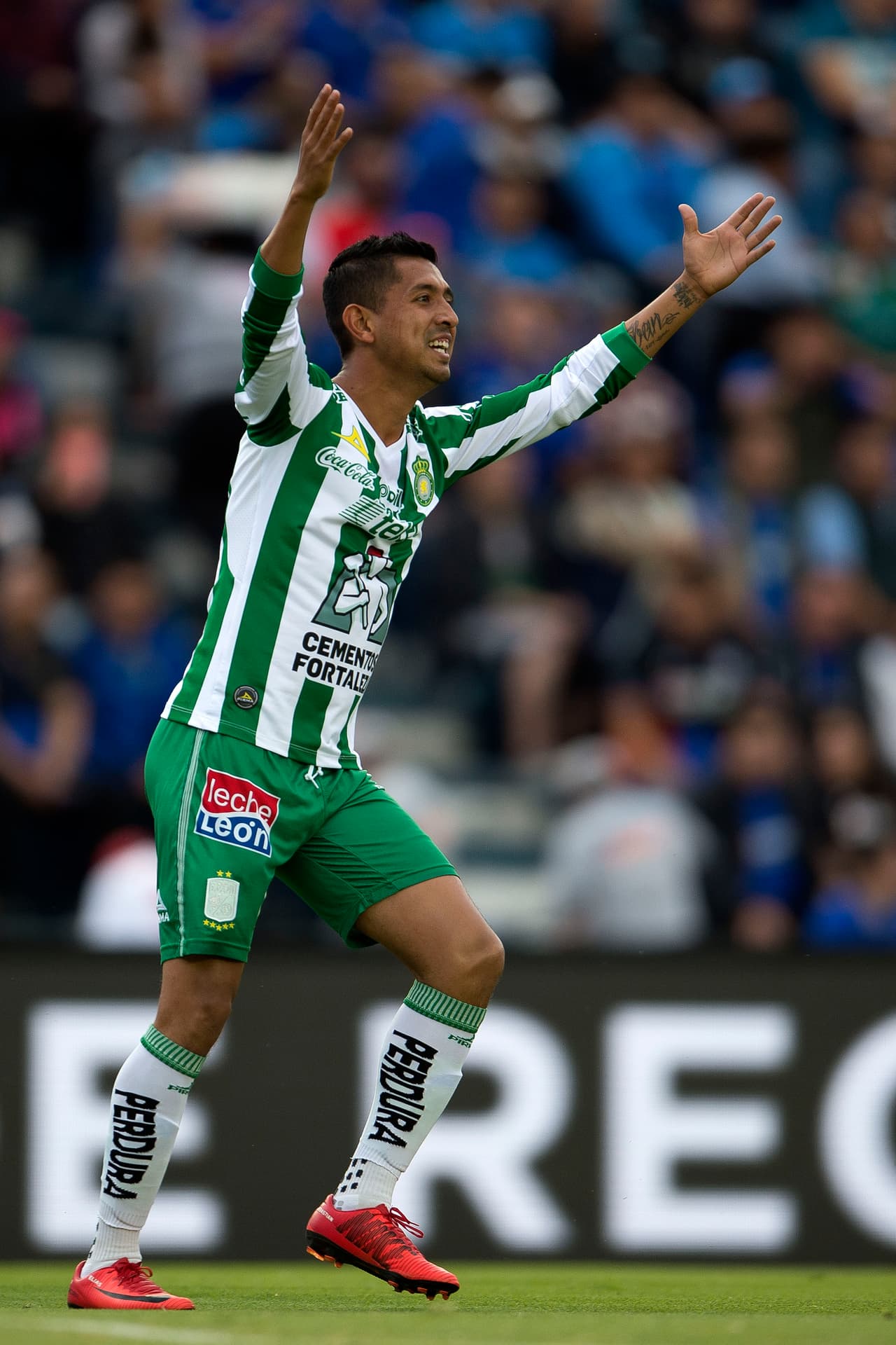 León recibirá la visita del Necaxa en su próximo encuentro del Clausura 2018.