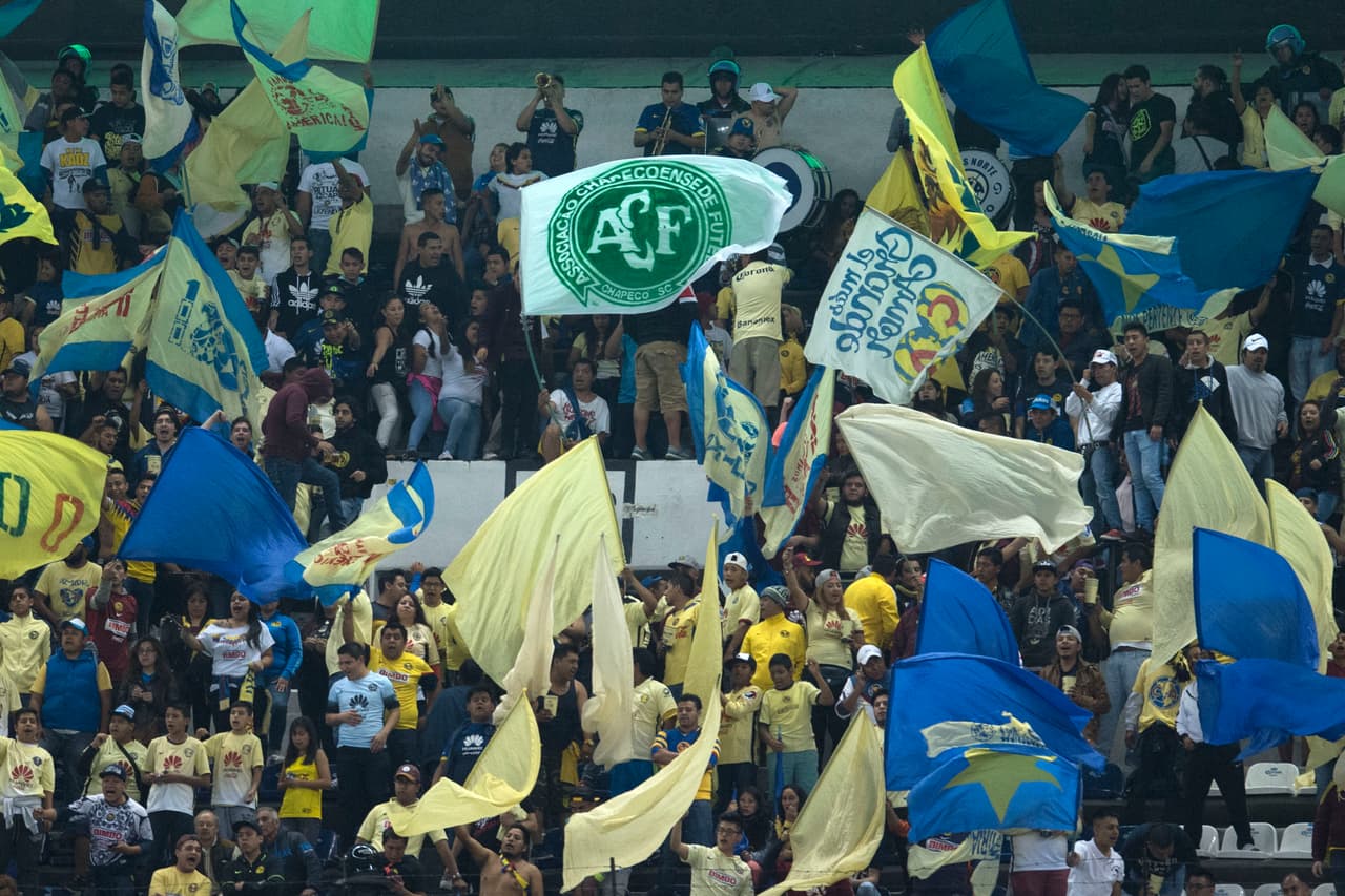 Las porras americanistas se pintaron de verde y blanco en honor al Chapecoense.