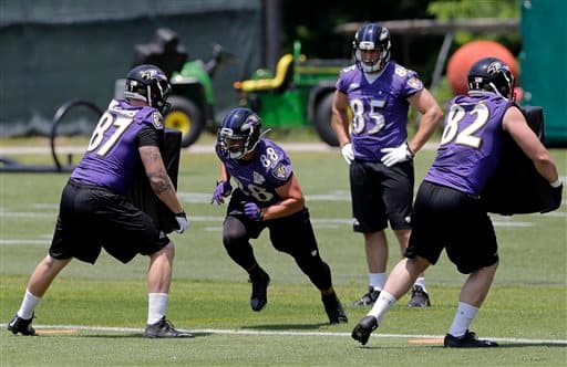 Las mejores tomas del TE novato de los Baltimore Ravens, egresado de Minnesota, Maxx Williams (AP-NFL).