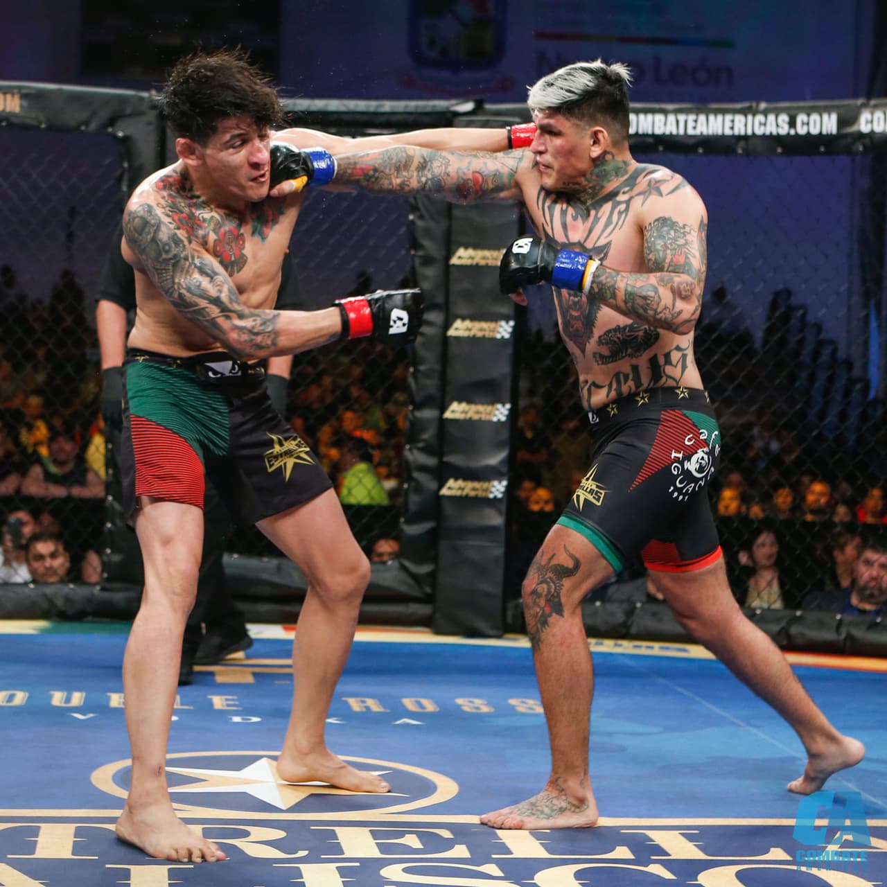 La fiesta del Combate Américas en el Gimnasio Nuevo León de Monterrey tuvo como protagonistas a la intensidad de las artes marciales mixtas y al luchador Alberto del Río.