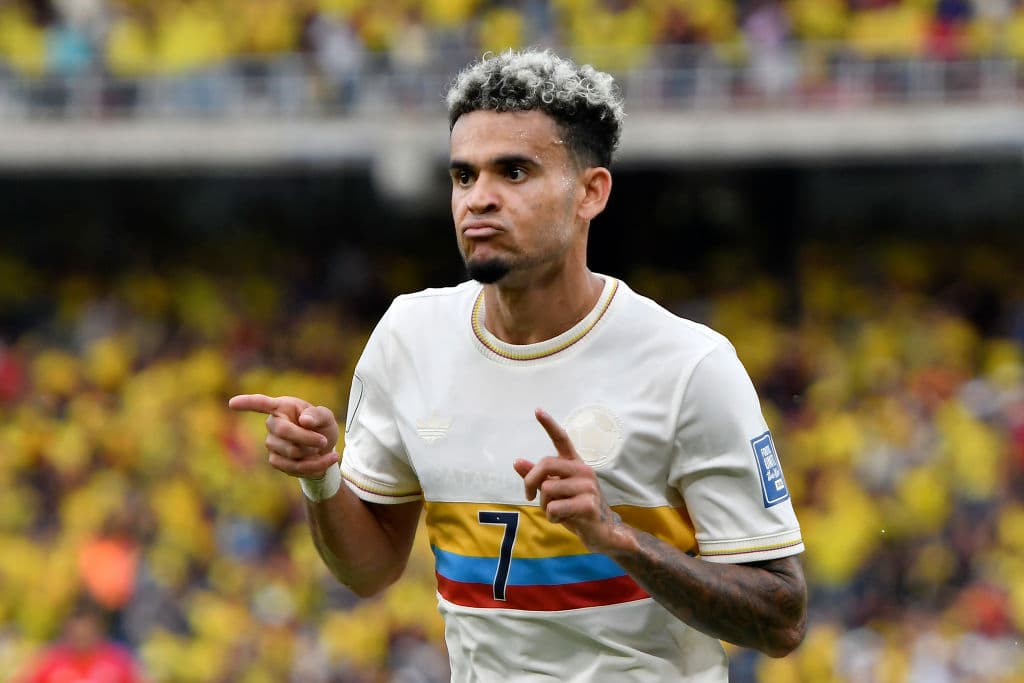 En la Copa América 2024, Díaz y su selección alcanzaron la final, donde cayeron 1-0 frente a Argentina. El atacante contribuyó con dos goles durante todo el torneo.