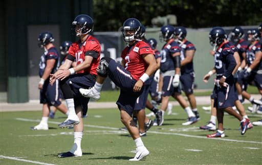 Brian Hoyer (7) (AP-NFL).