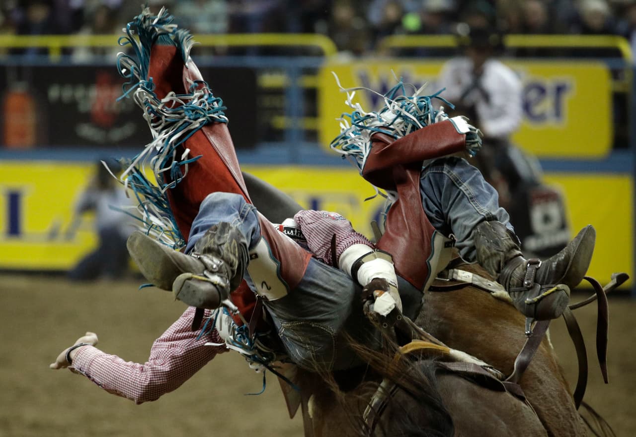 Las competencias de sostenerse sobre los animales requieren destreza en el montaje y fuerza en las piernas, además de una buena técnica de caída para evitar lesiones graves, que en algunos casos puede ser letales.