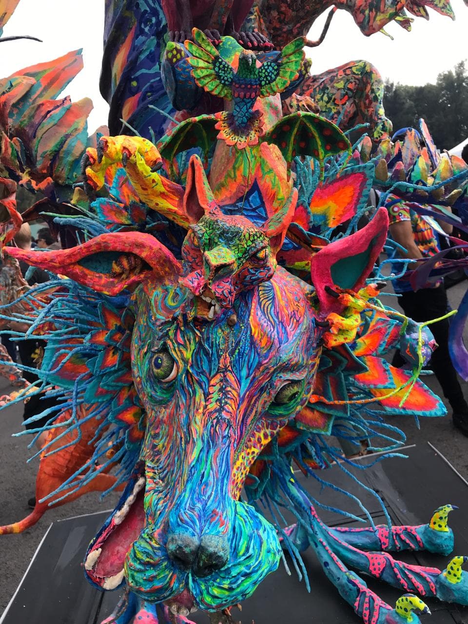 Color de las clasificatorias del GP de México.