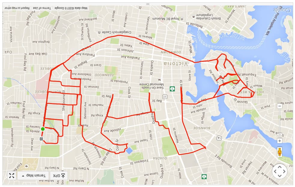 El deportista ha realizado grandes obras entre las que se destacan animales, imágenes históricas y personajes culturales. Para todos los gustos.