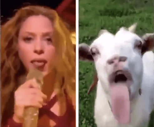 Shakira y Jennifer López protagonizan el show de medio tiempo y los memes no perdonan su actuación.