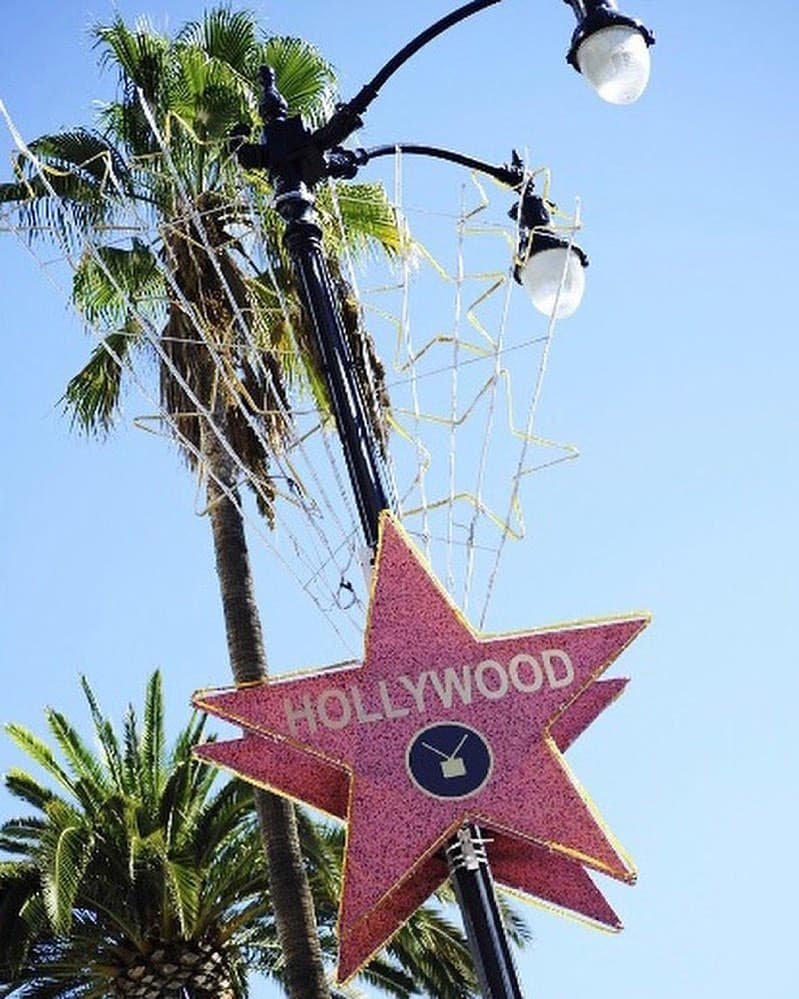 Se elige a lo más sobresaliente en diversas áreas, como es el cine, teatro, radio, deportes y actuaciones en vivo.