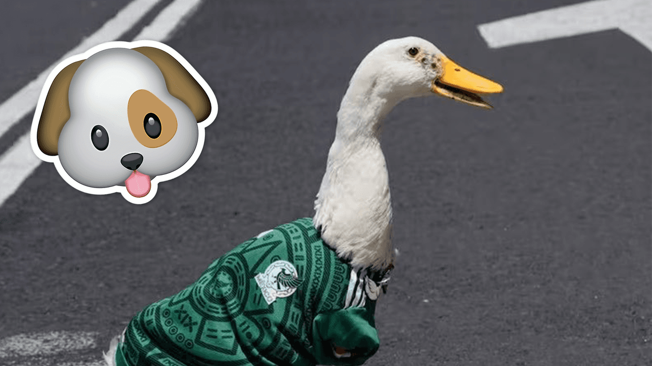 ¡El Pato Merlín tiene competencia con Chequia! ¿Hay nueva mascota del Mundial?