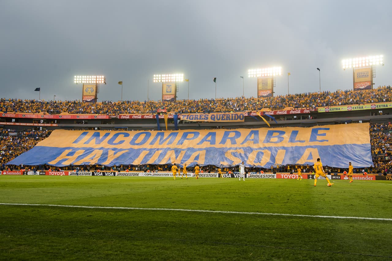 Aficionados de Tigres