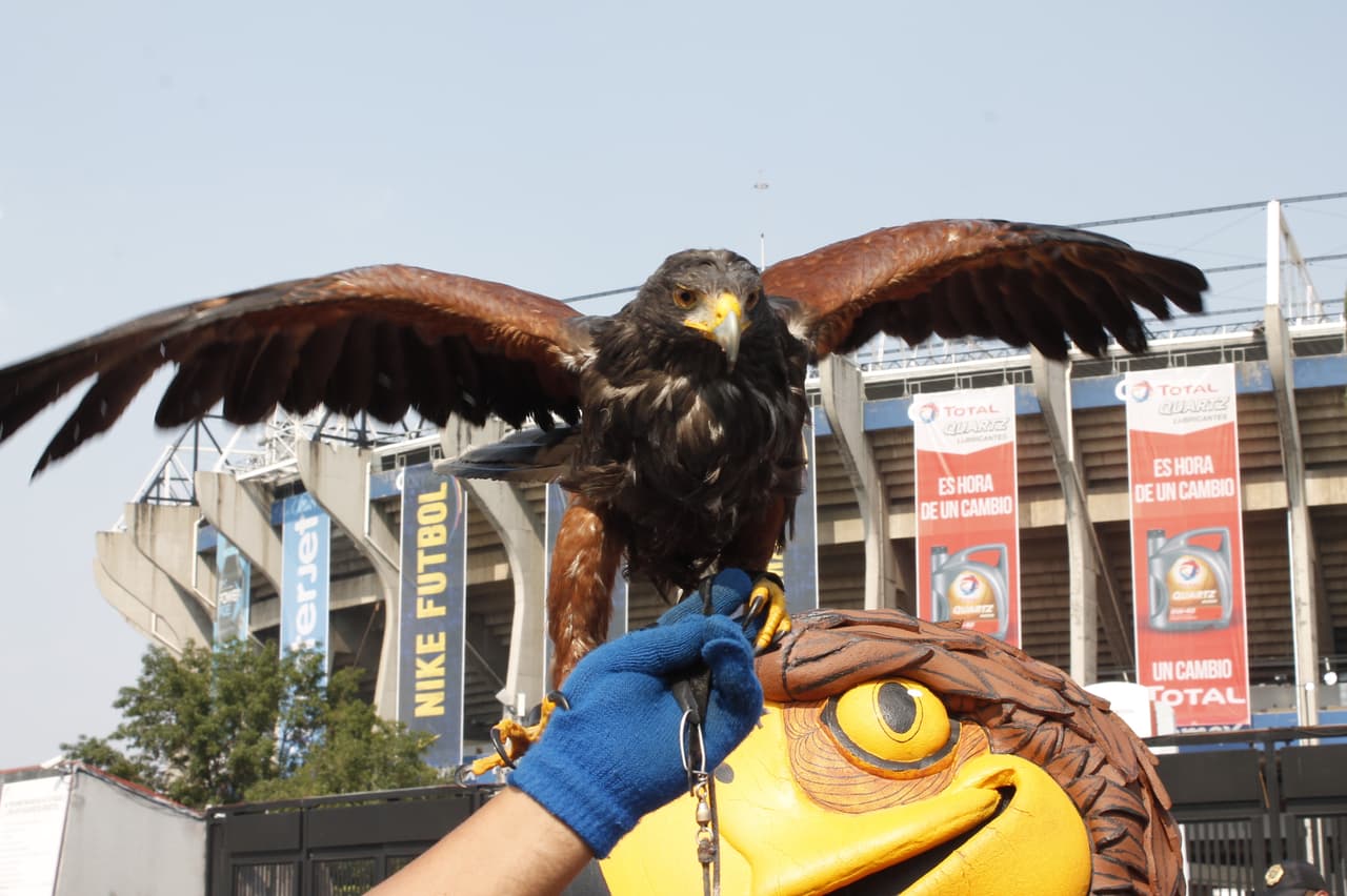 Los aficionados del América llegaron en gran número al Azteca con la ilusión de conseguir la remontada después de caer por 4-1 en la ida ante Santos Laguna. Familiares y amigos se reunieron desde la previa viviendo un ambiente muy colorido.