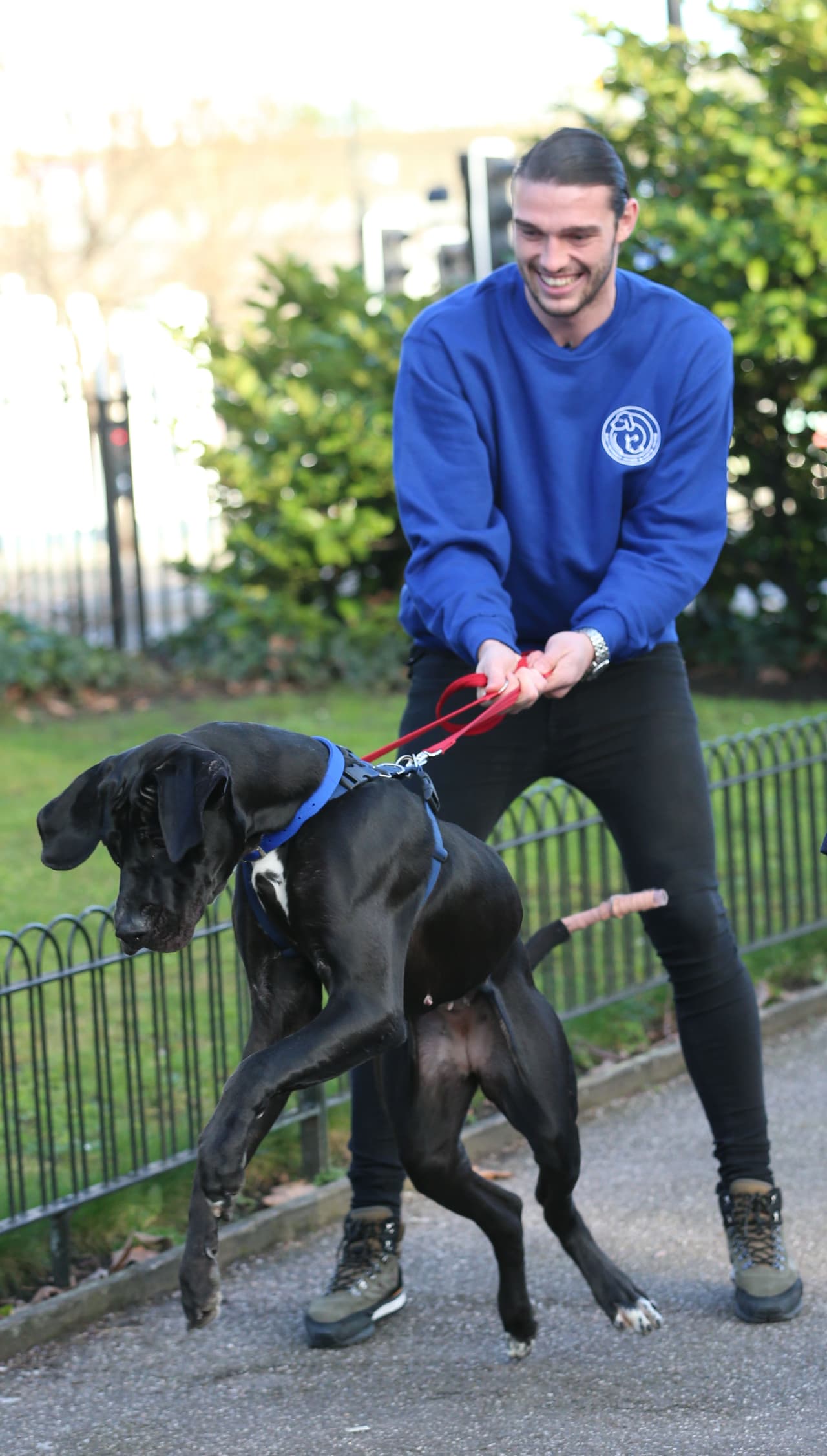 El delantero inglés del West Ham United de la Premier League de Inglaterra, 
<b>ANDY CARROLL</b>, realiza una labor muy bella al conseguir que la gente adopte a perritos que necesitan de un hogar.