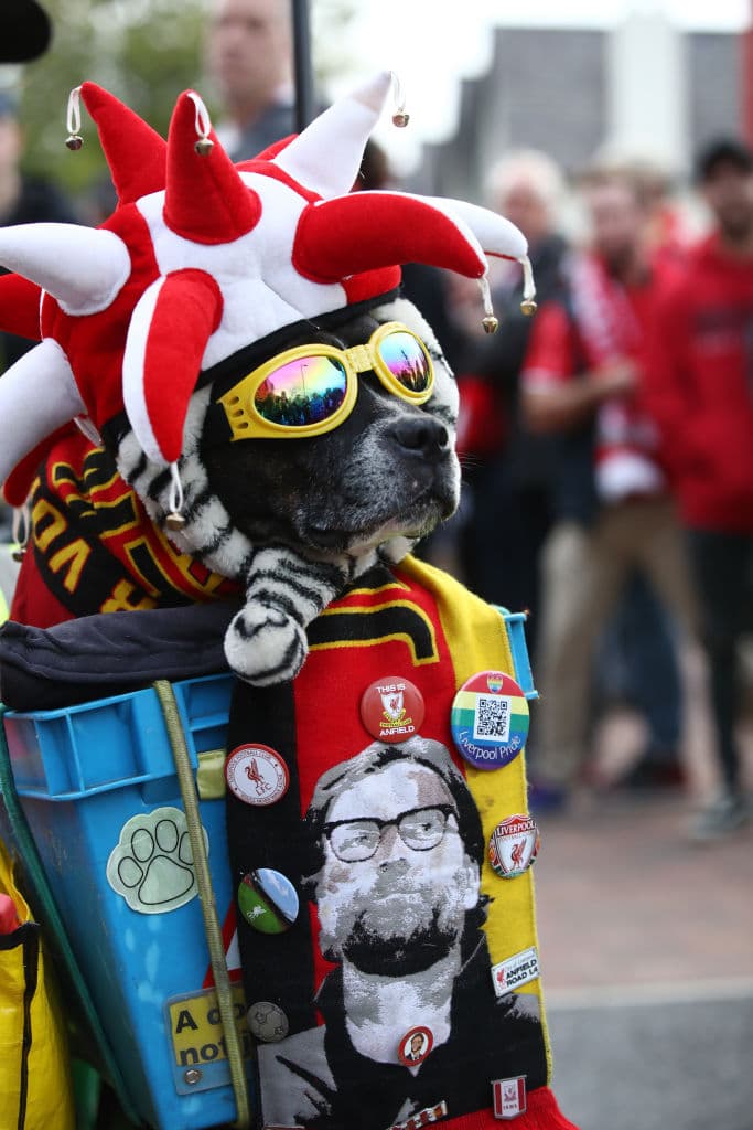 El colorido de los hinchas de Liverpool y PSG, con peculiaridades como máscaras de Donald Trump y demás, fueron parte de la fiesta del partido de arranque en el grupo C de la Champions League.