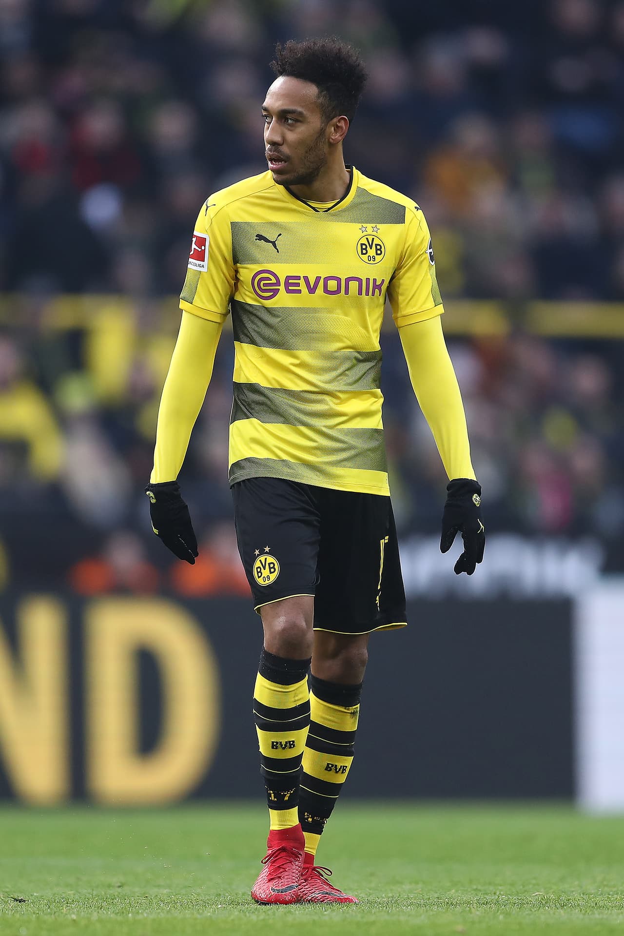 DORTMUND, GERMANY - JANUARY 27: Pierre-Emerick Aubameyang of Dortmund looks on during the Bundesliga match between Borussia Dortmund and Sport-Club Freiburg at Signal Iduna Park on January 27, 2018 in Dortmund, Germany. (Photo by Lars Baron/Bongarts/Getty Images)