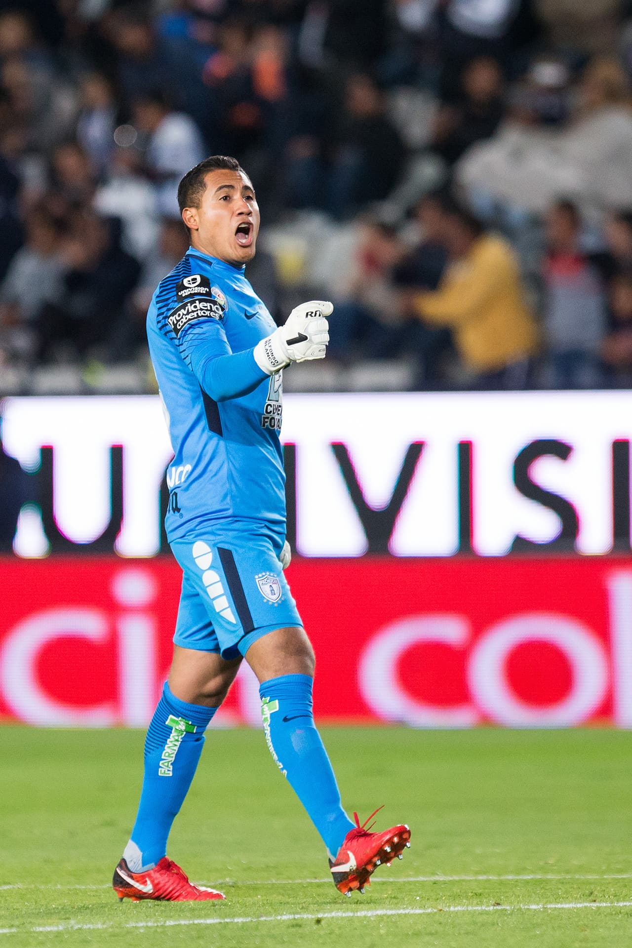 Alfonso Blanco, arquero de los Tuzos, celebra la anotación en grande. El portero mexicano finalmente parece consolidarse en el marco del Pachuca.