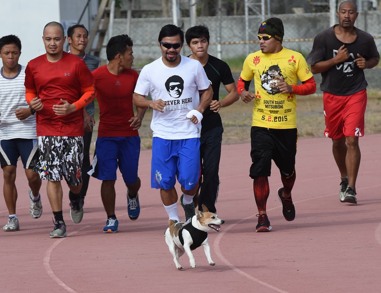 El boxeador 
<b>MANNY PACQUIAO</b> con su inseparable perrito 'Pacman', quien lo acompaña en todos sus entrenamientos.