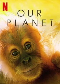 Our Planet | 33 millones