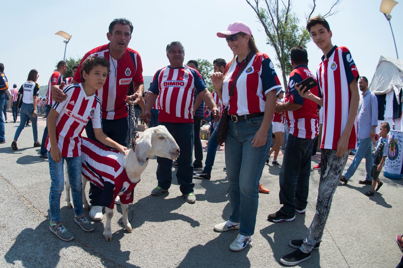 Action photo during the match Guadalajara vs Tigres UANL, corresponding to the Final of the League BBVA Bancomer MX of the Tournament Clausura 2017, in the Chivas Stadium, in the photo: Foto de accion durante el partido Guadalajara vs Tigres UANL, correspondiente a la vuelta de la Final de la Liga BBVA Bancomer MX del Torneo Clausura 2017, en el Estadio Chivas, en la foto: Fans 28/05/2017/MEXSPORT/Jorge Martinez
