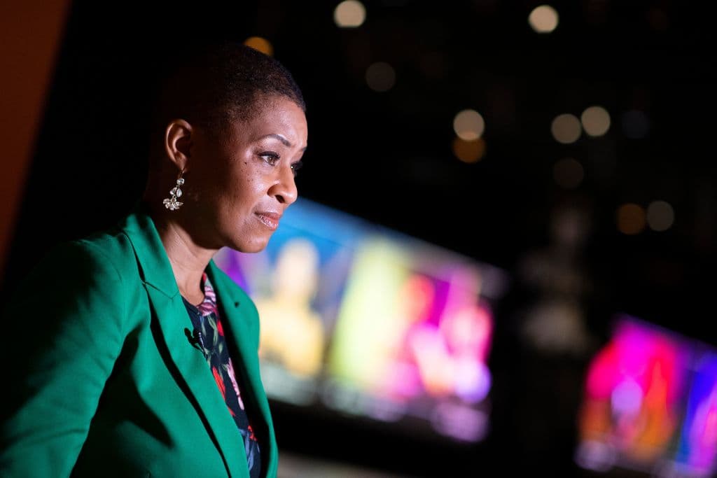 Dentro de la inmensa colección aparecen 12 millones de fotografías, 190.000 artículos de cintas clásicas, 80.000 guiones, 50.000 pósteres y 20.000 diseños y bocetos.
<br>