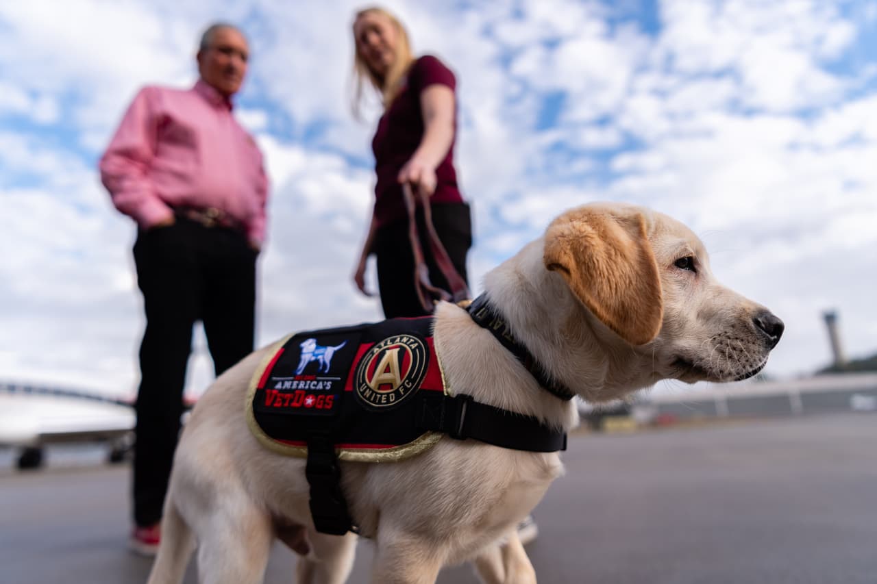 Él es Spike, el perro que busca servir como entrenamiento de perros y porta con gusto la playera del Atlanta United. Su misión es ayudar en algún momento a ayudar a un veteranos que lo necesiten.