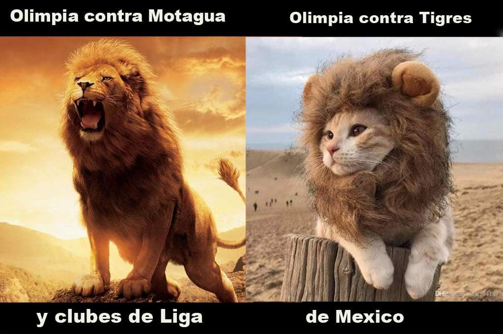 Los Tigres golean al Olimpia y los memes los rematan | El cuadro del ‘Tuca’ despachó al conjunto hondureño y las reacciones en internet aparecieron.