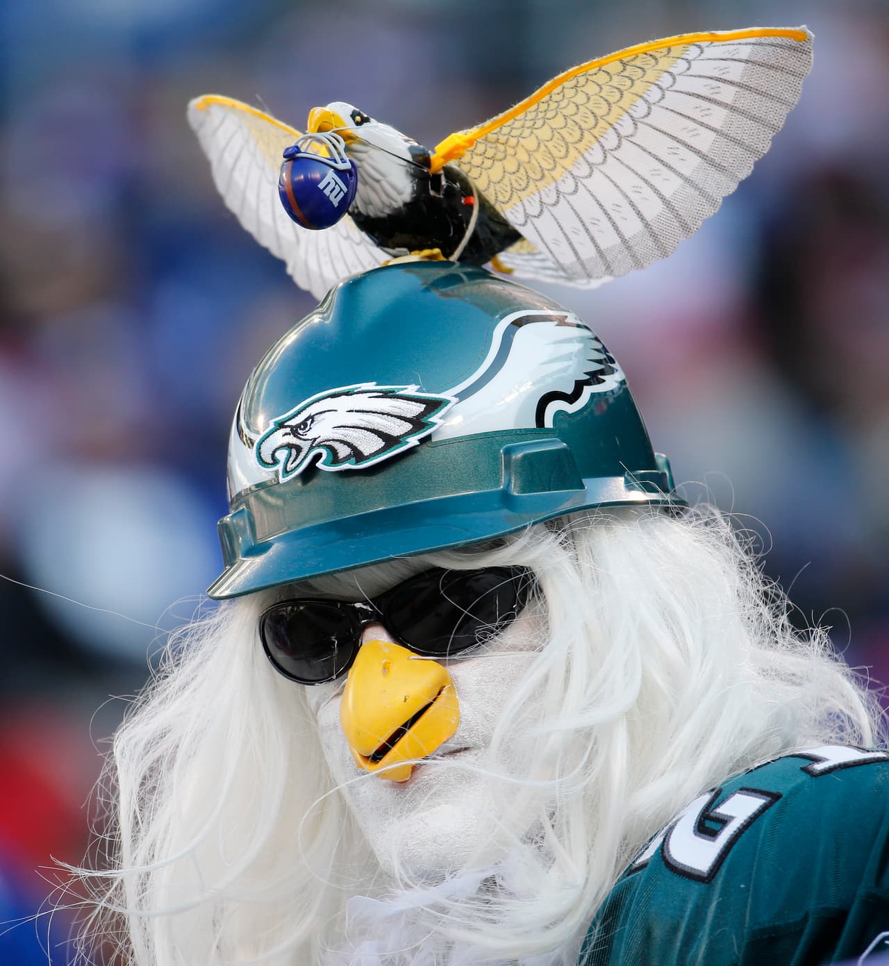 Adiós a la temporada regular de la NFL, y los fans demostraron toda su pasión por este deporte.