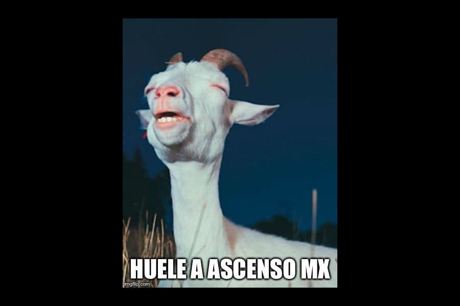 Memes de la jornada 16 del Apertura 2015