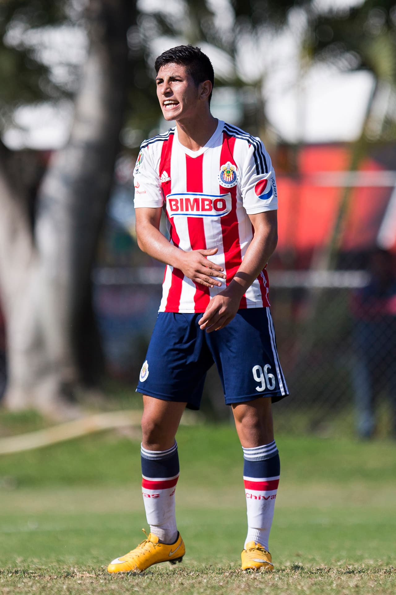 Guzmán pasó por todas las categorías inferiores del Chivas: Sub15, Sub17 y Sub20.