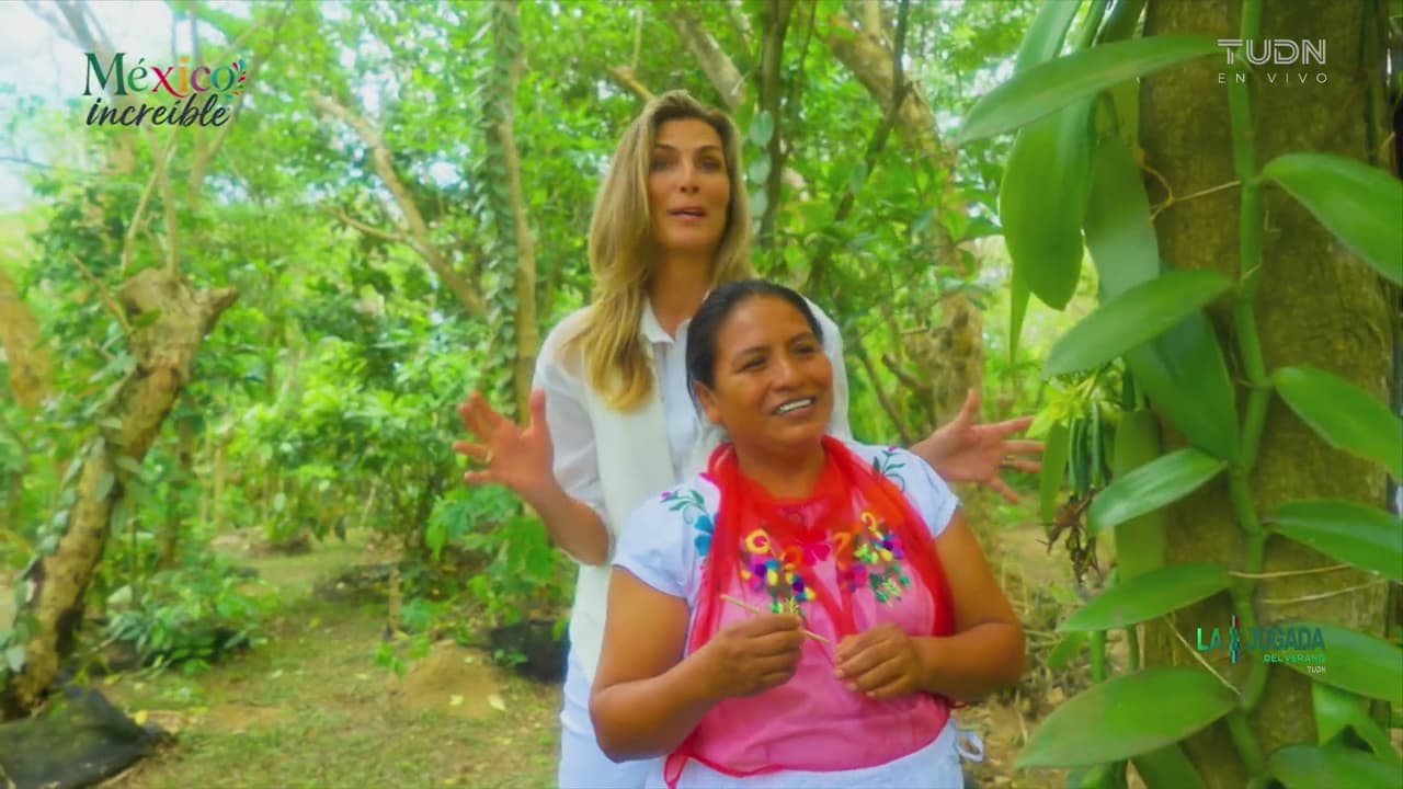 México Increíble: En Totonacapan, Veracruz; lugar donde nació la vainilla