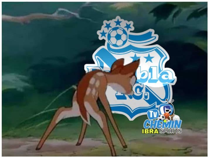 Puebla queda casi noquedo por los memes, mientras que Pachuca y Cruz Azul salen con los mismo daños.