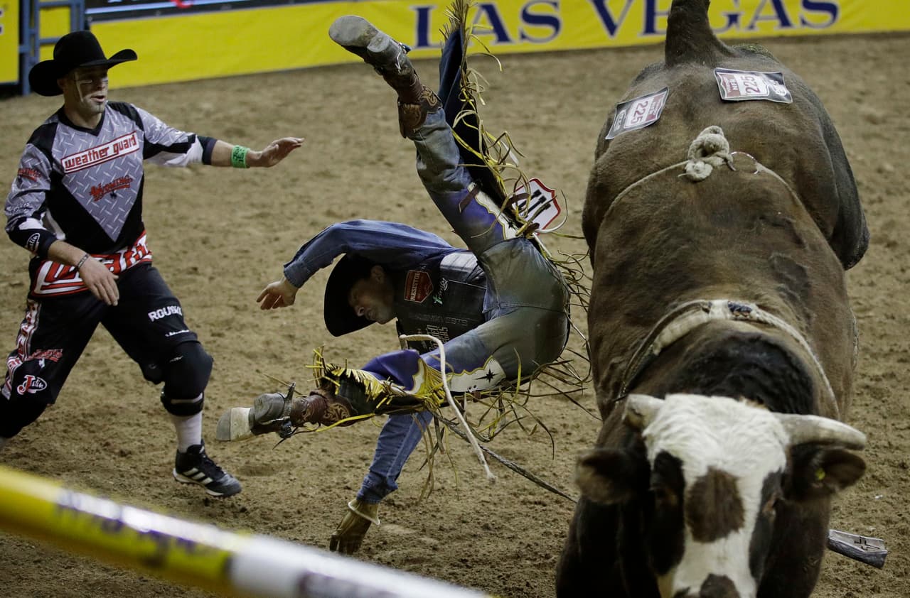El rodeo es una práctica que tiene riesgos y por ello en el escenario hay asistentes que se encargan de atender a los participantes cuando estos caen al piso tras quedar fuera de competencia.