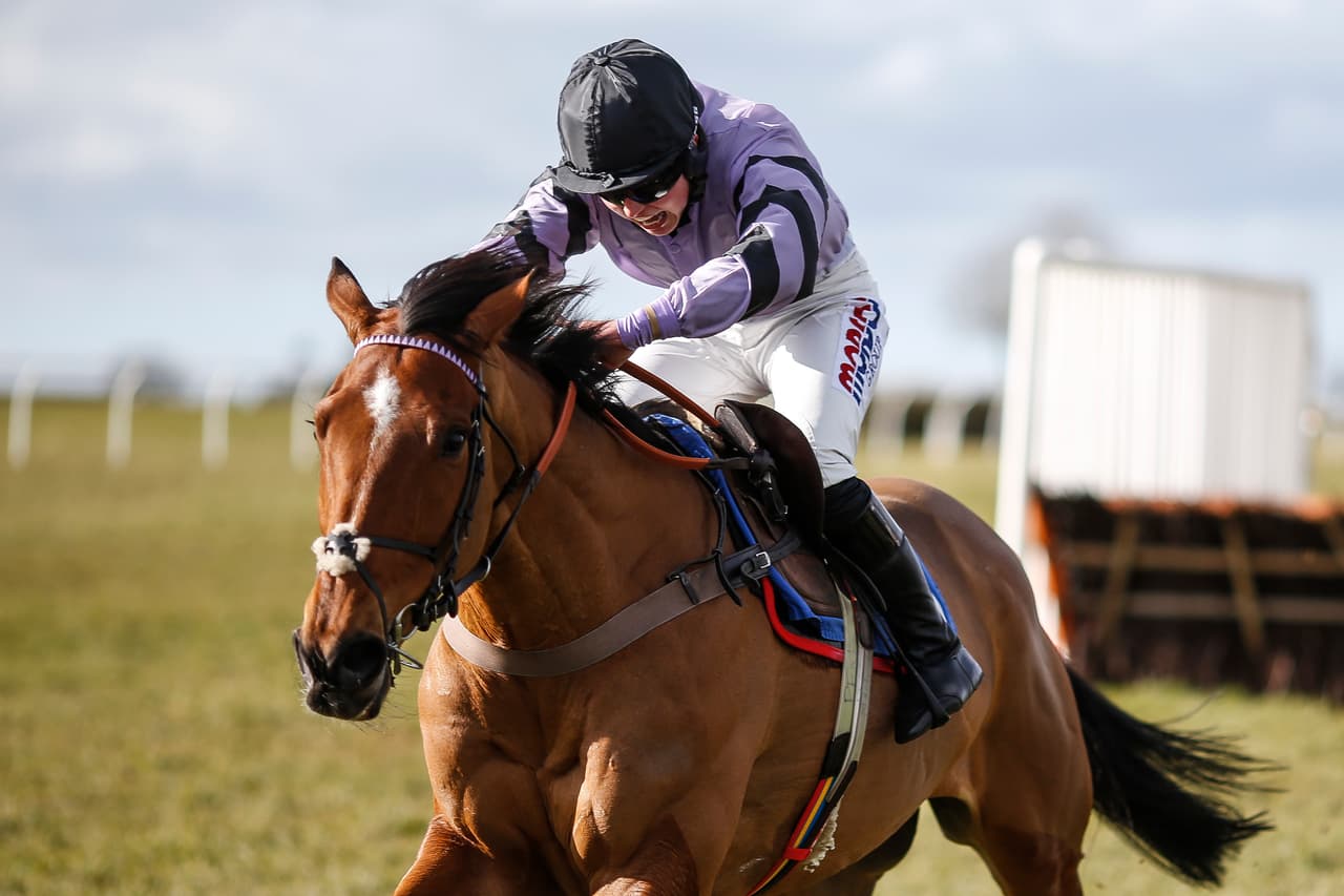 En el rigor de las competencias muchas veces aparecen postales deportivas, que como en este caso en una competencia de equitación en Wincanton (Inglaterra) ofrecen paisajes e imágenes espectaculares.
