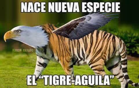 América ganó al Monterrey en la ida de semifinales, las redes sociales se manifestaron con memes.