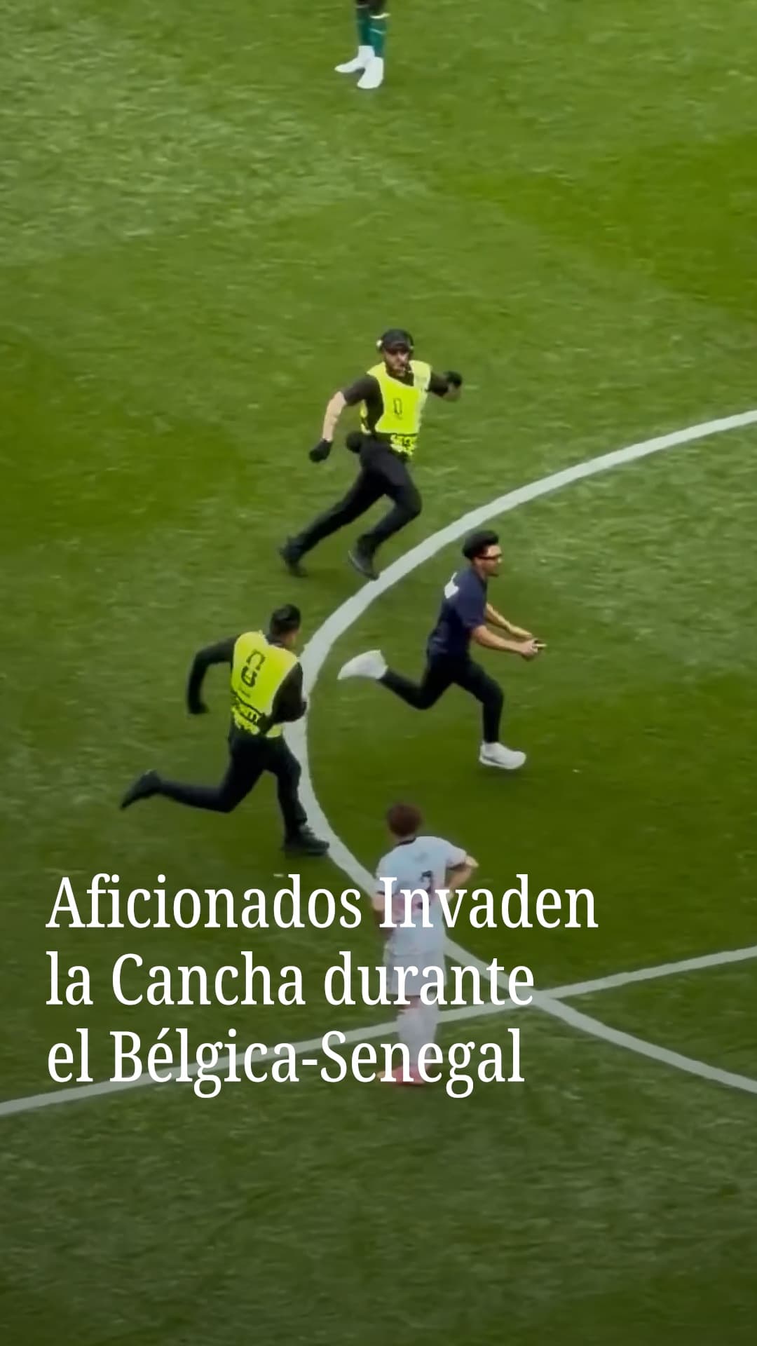 Aficionados invaden la cancha durante el Bélgica-Senegal