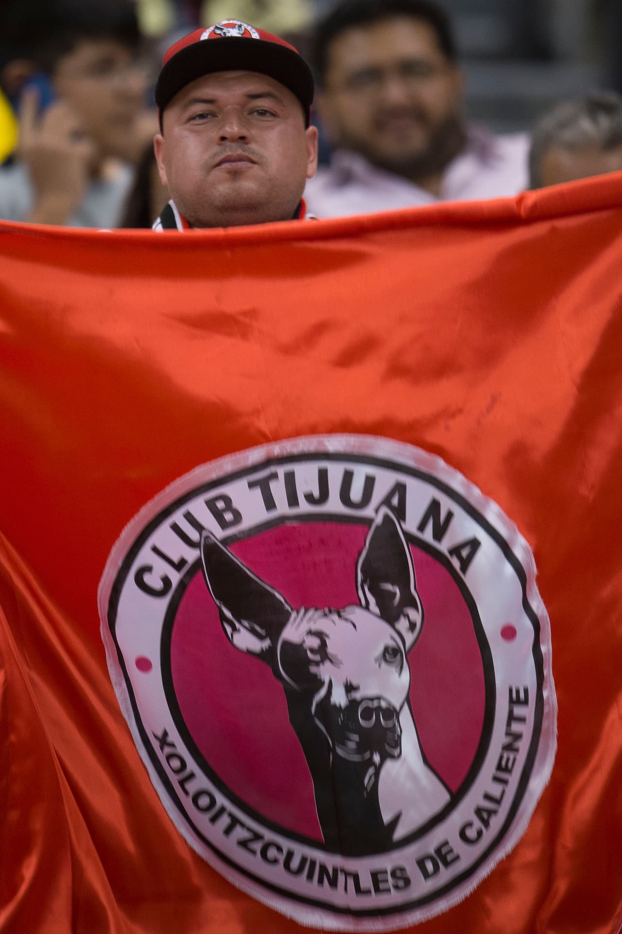 Así se vivió el colorido de la afición en la Jornada 13 del Apertura 2016