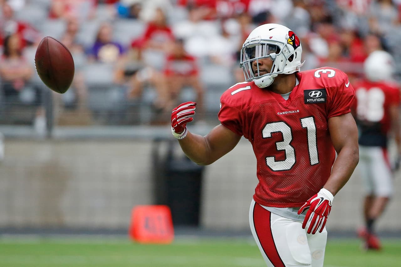 <b>No. 12: DAVID JOHNSON, RB Arizona Cardinals</b>
<br>David Johnson lideró la NFL en yardas desde la línea (2118) y touchdowns (20). Johnson se convirtió en el décimo jugador en la historia de la NFL con más de 20 anotaciones y más de 2,000 yardas desde la línea.